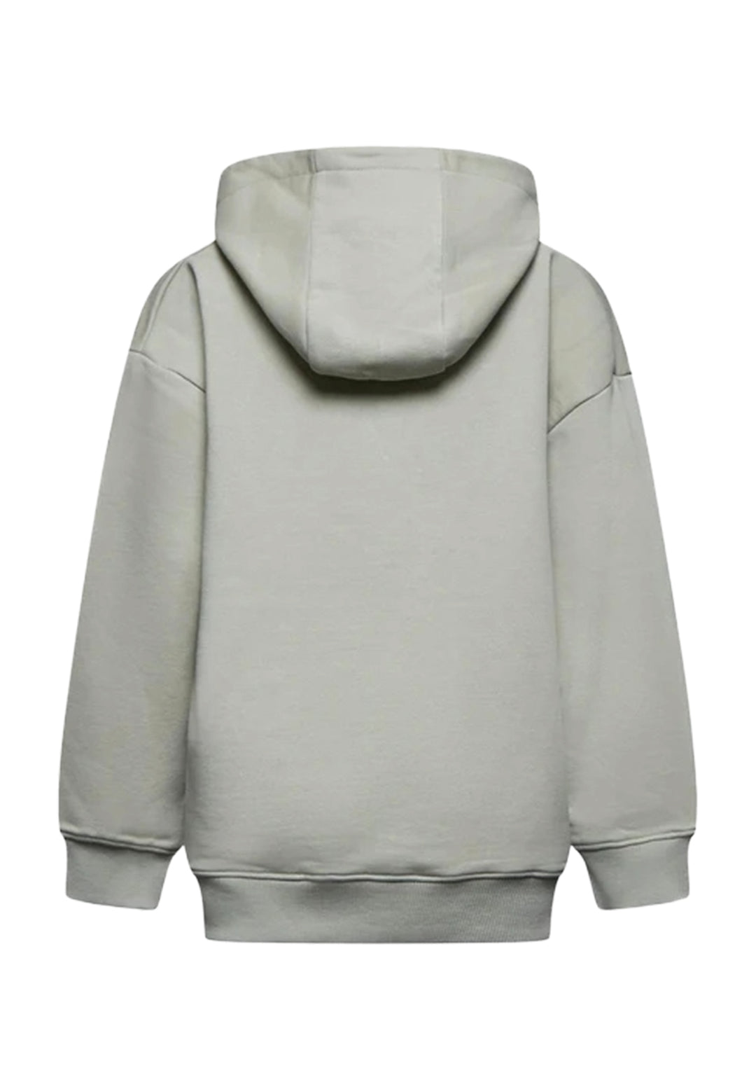 Felpa cappuccio grigia per bambino