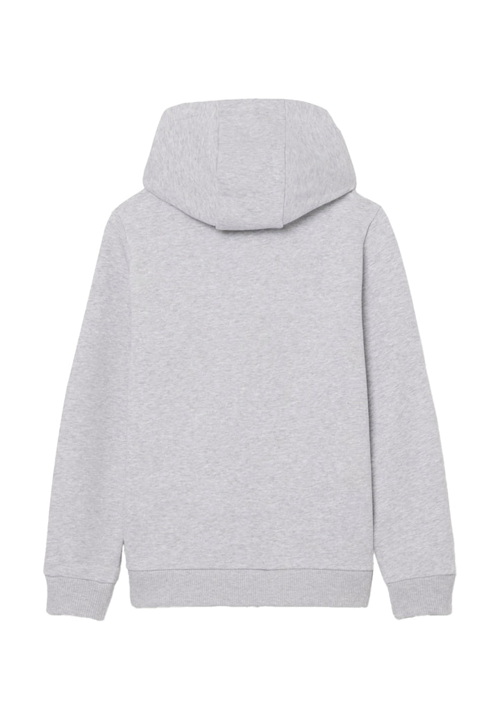 Felpa zip con cappuccio grigia per bambino