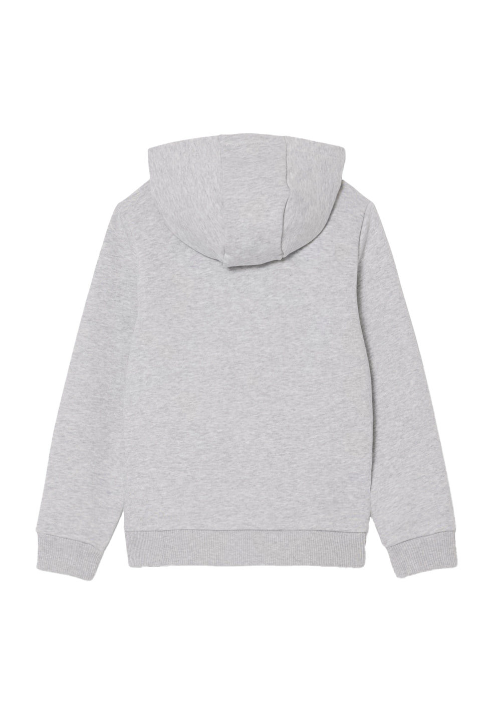 Felpa cappuccio grigia per bambino