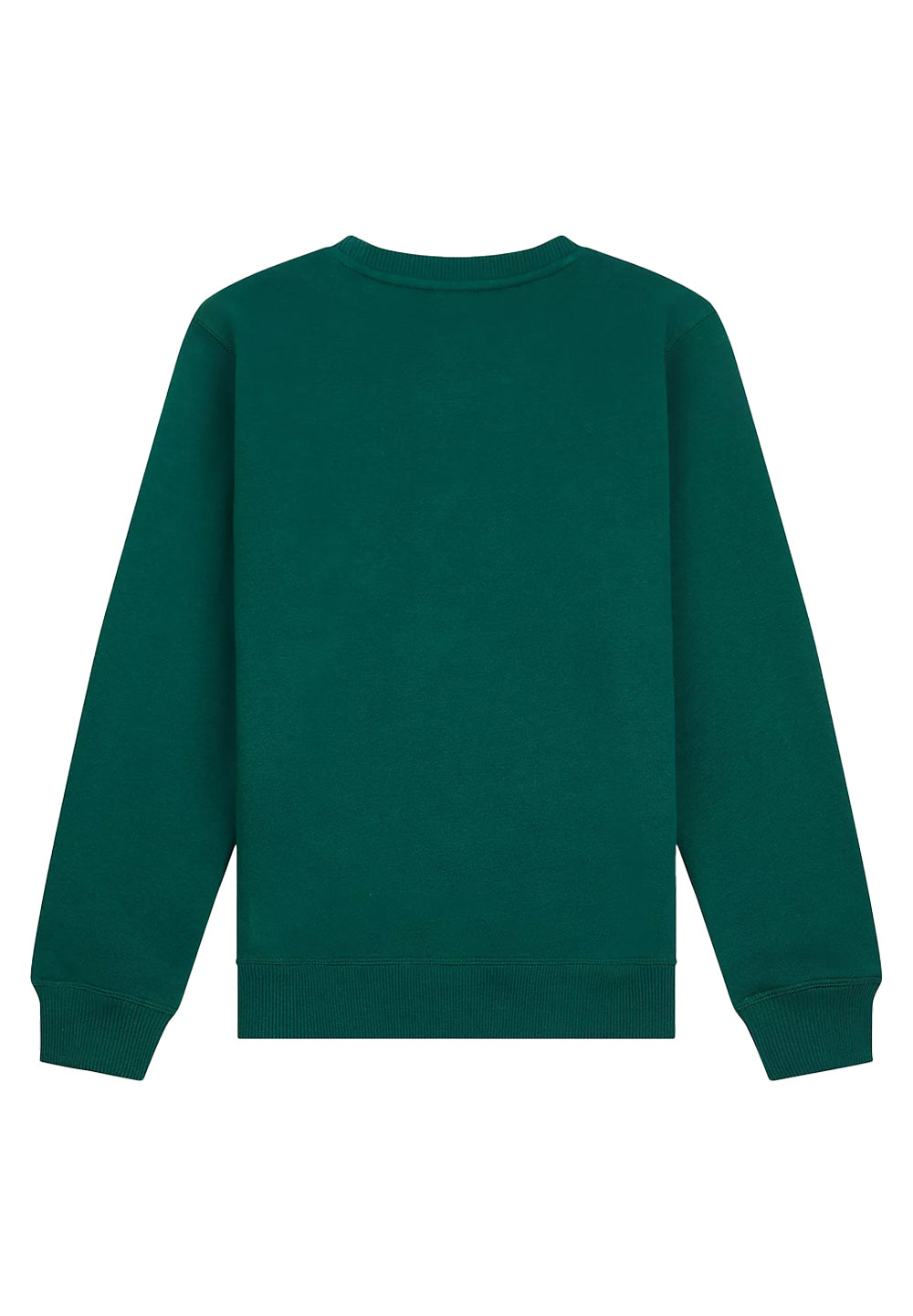 Green crewneck sweatshirt for boy