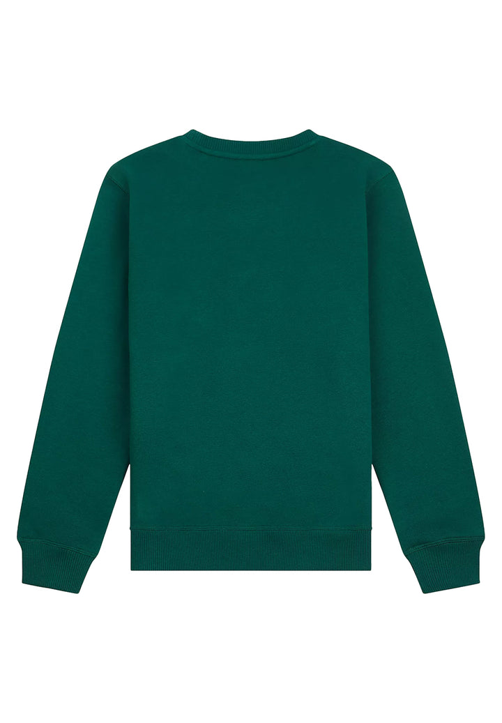 Green crewneck sweatshirt for boy