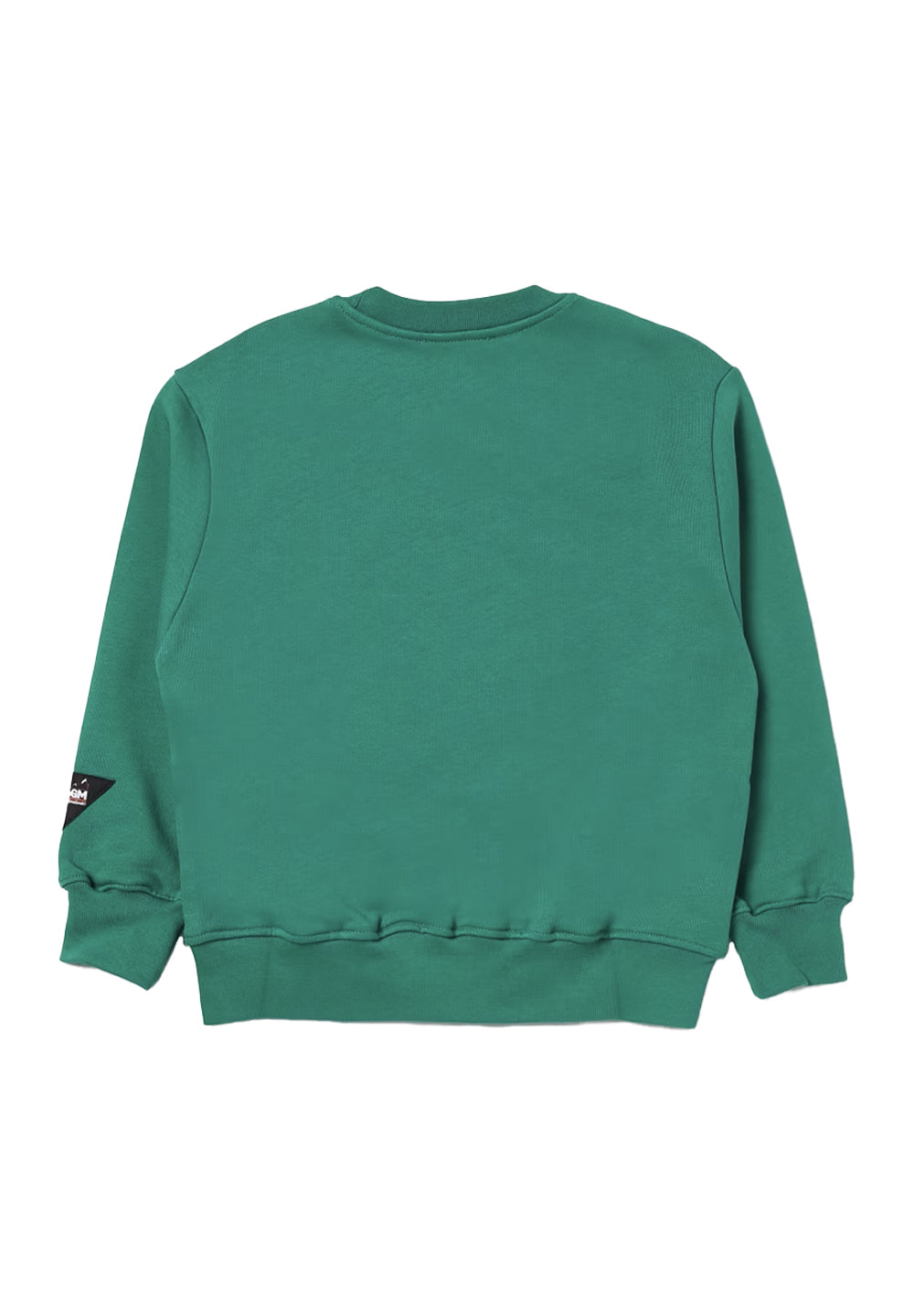 Grünes Sweatshirt mit Rundhalsausschnitt für Jungen