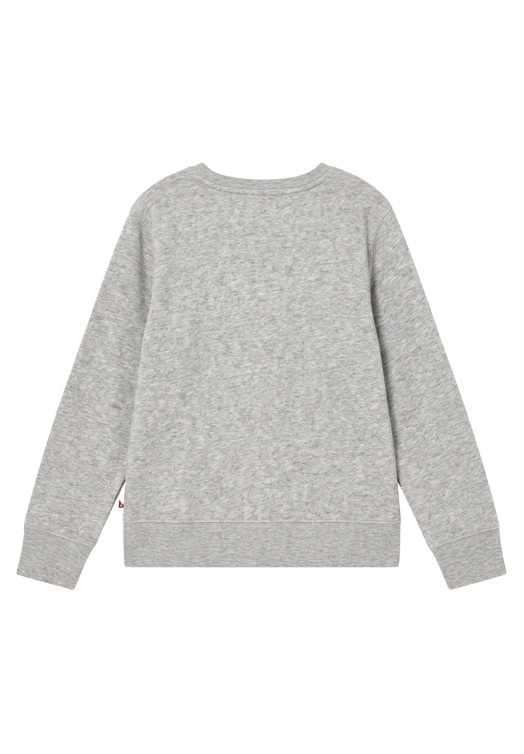 Felpa girocollo grigio per bambino