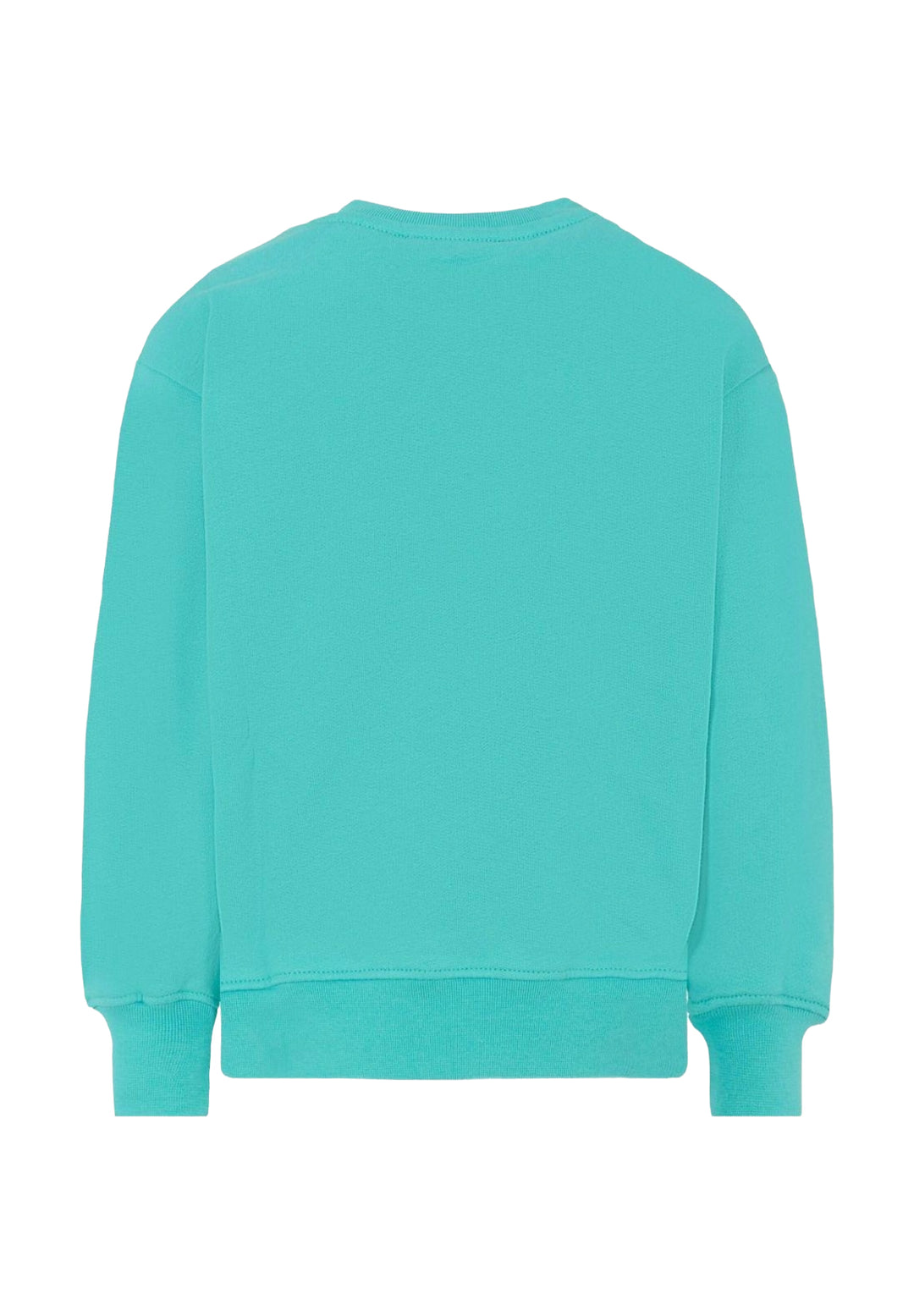 Felpa girocollo turchese unisex