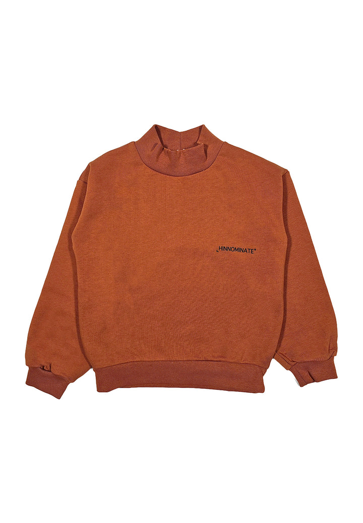Brown crewneck sweatshirt for boys