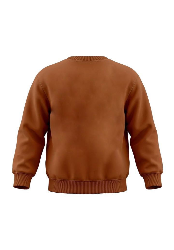 Felpa girocollo marrone unisex