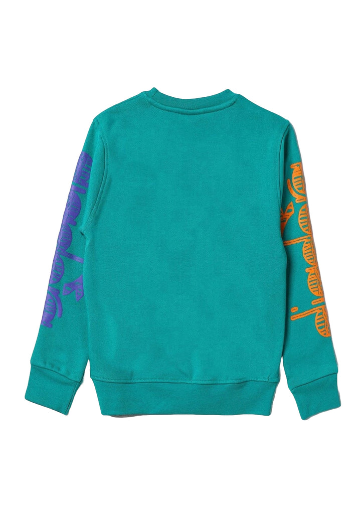 Green crewneck sweatshirt for boy